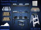 VCWS 19 Dynamic Physical Capacities